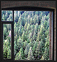 Your Window